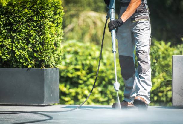 Best Gutter Cleaning  in Carol Stream, IL